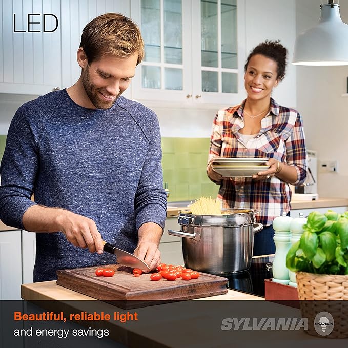 Sylvania ECO LED A19 Light Bulb, 60W Equivalent, Efficient 9W, 7 Year, 750 Lumens, Non-Dimmable, Frosted, 5000K Daylight - 24 Count (40987) (Pack of 2)